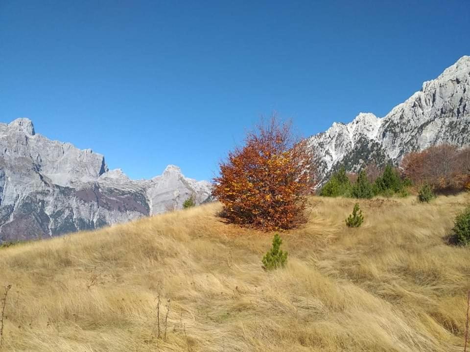Bujtina 2 Hotel Valbone Bagian luar foto