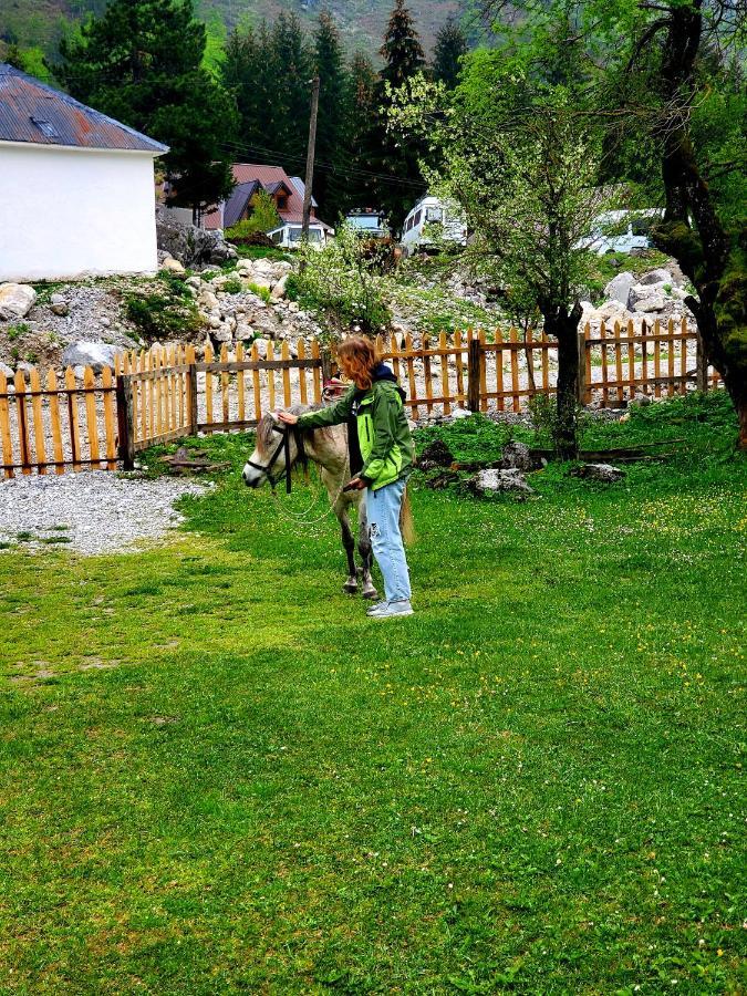 Bujtina 2 Hotel Valbone Bagian luar foto
